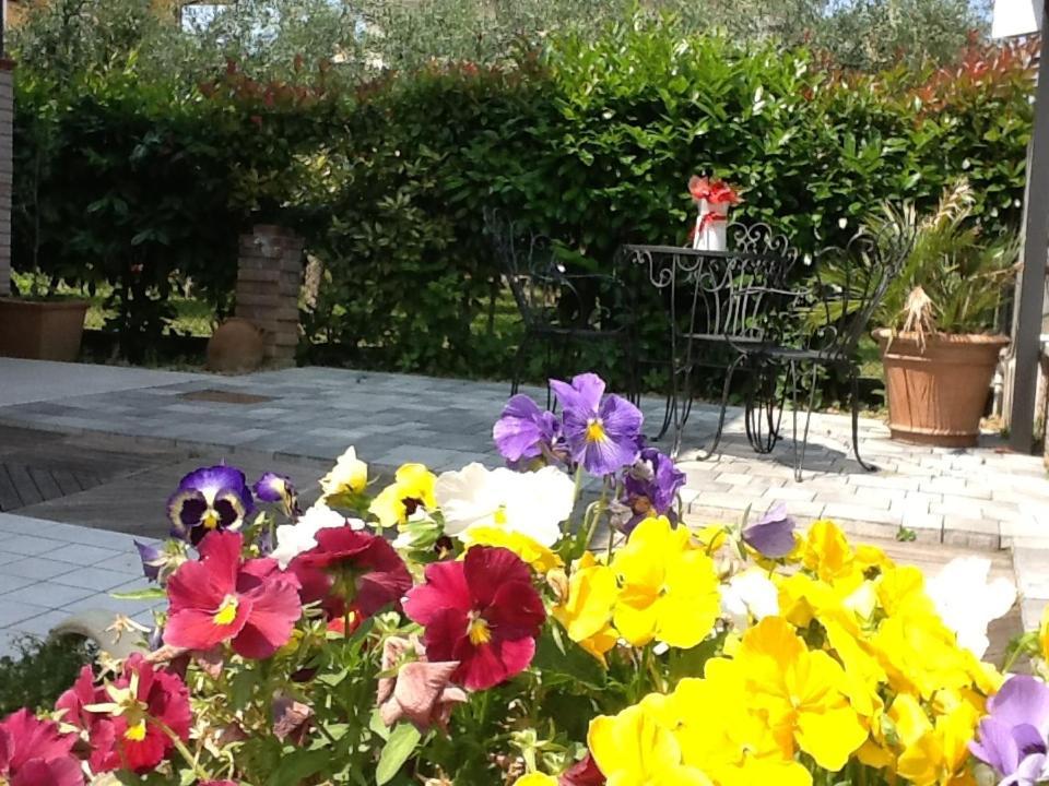 Villa Elisa Gambettola Εξωτερικό φωτογραφία